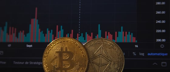 Hazard Bitcoin wzrośnie po ostatnim ogłoszeniu PayPal