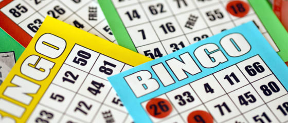 Dowiedz się, jak grać w bingo online